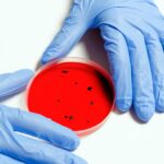 HPV Testing How Does the Test Work and How Accurate Is It